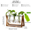 Picture of XXXFLOWER Plant Terrarium with Wooden Stand, Air Planter Bulb Glass Vase Metal Swivel Holder Retro Tabletop for Hydroponics Home Garden Office Decoration - 3 Bulb Vase