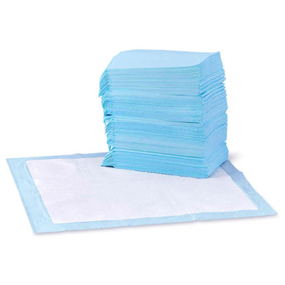 Picture of Amazon Basics Dog and Puppy Pee Pads with Leak-Proof Quick-Dry Design for Potty Training, Standard Absorbency, Regular Size, 22 x 22 Inches, Pack of 100, Blue & White