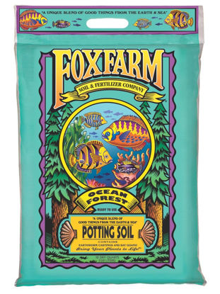 Picture of FoxFarm Ocean Forest Potting Soil, 12qt - Light, Aerated Texture, Designed for All Container Plants - pH Adjusted for Optimal Nutrient Uptake, Effectively Retains Moisture