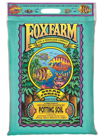 Picture of FoxFarm Ocean Forest Potting Soil, 12qt - Light, Aerated Texture, Designed for All Container Plants - pH Adjusted for Optimal Nutrient Uptake, Effectively Retains Moisture