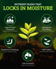 Picture of FoxFarm Ocean Forest Potting Soil, 12qt - Light, Aerated Texture, Designed for All Container Plants - pH Adjusted for Optimal Nutrient Uptake, Effectively Retains Moisture