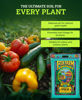 Picture of FoxFarm Ocean Forest Potting Soil, 12qt - Light, Aerated Texture, Designed for All Container Plants - pH Adjusted for Optimal Nutrient Uptake, Effectively Retains Moisture