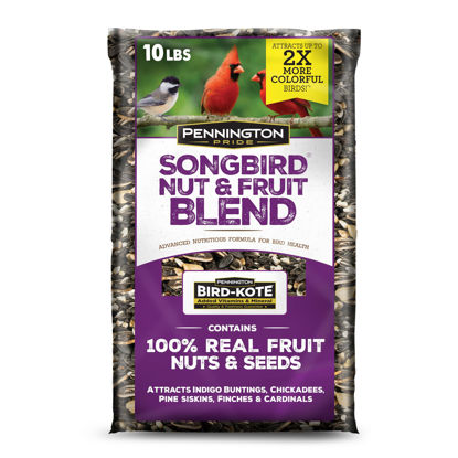 Picture of Pennington Pride Songbird Nut & Fruit Blend, Wild Bird Seed for Outside Feeders, Advanced Nutrition Formula for Bird Health, 10-lb. Bag