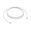 Picture of Apple USB-C Woven Charge Cable (2 m)
