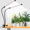 Picture of GooingTop LED Grow Light,6000K Full Spectrum Clip Plant Growing Lamp with White Red LEDs for Indoor Plants,5-Level Dimmable,Auto On Off Timing 4 8 12Hrs