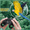 Picture of Aurosports 10x25 Binoculars for Adults and Kids, Large View Compact Binoculars with Low Light Vision, Easy Focus Small Binoculars for Bird Watching Outdoor Travel Sightseeing Concert Hunting Hiking