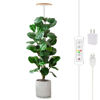 Picture of Plant Grow Light,yadoker LED Growing Light Full Spectrum for Indoor Plants,Height Adjustable, Automatic Timer, 5V Low Safe Voltage,Idea for Large Plant Light
