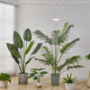 Picture of Plant Grow Light,yadoker LED Growing Light Full Spectrum for Indoor Plants,Height Adjustable, Automatic Timer, 5V Low Safe Voltage,Idea for Large Plant Light