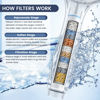 Picture of FEELSO Filtered Shower Head with Handheld, High Pressure 7-Spray Showerhead with Filters for Hard Water - Remove Chlorine, Reduce Dry Itchy Skin, Anti-clog Nozzles, Power Wash to Clean Tub, Tile & Pet