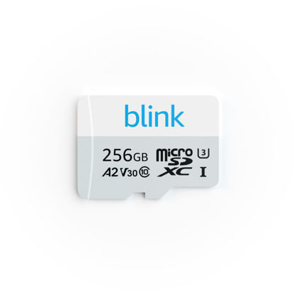 Picture of Blink MicroSD card for local video storage with Blink Sync Module XR