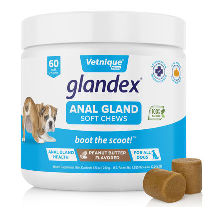 Picture of Glandex Anal Gland Soft Chew Treats with Pumpkin for Dogs Digestive Enzymes, Probiotics Fiber Supplement for Dogs Boot The Scoot (Peanut Butter Chews, 60ct)
