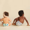 Picture of The Honest Company Clean Conscious Diapers | Plant-Based, Sustainable | Above It All + Pandas | Club Box, Size Newborn, 72 Count