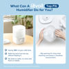 Picture of LEVOIT Top Fill Humidifiers for Bedroom, 2.5L Tank for Large Room, Easy to Fill & Clean, 28dB Quiet Cool Mist Air Humidifier for Home Baby Nursery & Plants, Auto Shut-off and BPA-Free for Safety, 25H