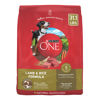 Picture of Purina ONE Dry Dog Food Lamb and Rice Formula - 31.1 lb. Bag
