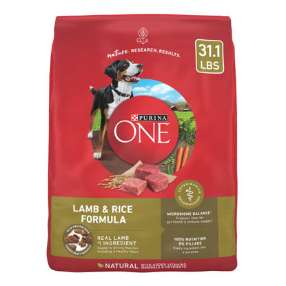 Picture of Purina ONE Dry Dog Food Lamb and Rice Formula - 31.1 lb. Bag