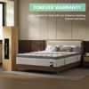 Picture of SLEEP100 Queen Mattress 12 Inch, 5-Zone Deep Sleep Firm Mattress with Extra Lumbar & Shoulder Support, Hotel Collection Hybrid Mattress Pain Relief - Fiberglass Free - No Odor - 365 Night Trial