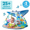 Picture of Bright Starts Disney Baby Finding Nemo Mr. Ray Ocean Lights & Music Gym, Ages Newborn +