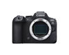 Picture of Canon EOS R6 Mark II Body (Renewed)