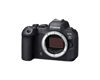 Picture of Canon EOS R6 Mark II Body (Renewed)