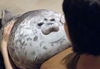 Picture of MerryXD Chubby Blob Seal Pillow,Stuffed Cotton Plush Animal Toy Cute Ocean Large(23.6 in)…