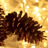 Picture of Christmas Lights 100 Count Mini Clear Lights 21ft White Wire Christmas Tree String Lights Set for Outdoor Indoor Christmas Decorations Wedding Decorations Valentines Day Decor,UL Certified (21feet)
