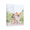 Picture of Personalized Photo to Canvas Print - Canvas Prints With Your Photos on Custom Wall Art for Bedroom, Living Room, Wedding Baby Pet Family Picture Framed Wall Art (6" W x 8" H)