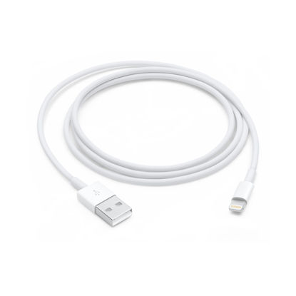 Picture of Apple Lightning to USB Cable (1 m)