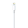 Picture of Apple Lightning to USB Cable (1 m)