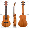 Picture of Joymusic 23" Concert Mahogany Ukulele Kit,Natural,Matt (UK-23S)