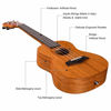 Picture of Joymusic 23" Concert Mahogany Ukulele Kit,Natural,Matt (UK-23S)