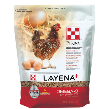 Picture of Purina Layena+ | Nutritionally Complete Layer Hen Feed | Omega 3 Formula - 10 Pound (10 lb) Bag