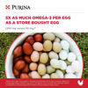 Picture of Purina Layena+ | Nutritionally Complete Layer Hen Feed | Omega 3 Formula - 10 Pound (10 lb) Bag