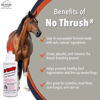 Picture of Four Oaks Farm Ventures, No Thrush Dry Powder Treatment for Horses - Wound Care, Scratches, Rain Rot, Mud Fever, Coat Issues - All Natural Ingredients, Non-caustic, Easy to Use Powder Formula (2.5 oz)