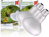 Picture of ReptiKing Reptile Heat Bulb Lamp, 2-Pack 100W Daylight Basking Spot, Bearded Dragon/Turtle/Lzard/Gecko Light Bulb, UVA Heat Lamp, Basking Light for Reptiles