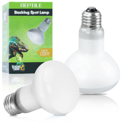 Picture of LUCKY HERP Reptile Heat Lamp - 100W (2nd Gen) Heat Lamp Bulbs for Reptiles 2 Pack, Amphibians Basking Heat Lamp Bulbs, UVA Daylight Basking Light for Reptiles, Bearded Dragon, Lizard, Turtle, Chicken