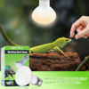 Picture of LUCKY HERP Reptile Heat Lamp - 100W (2nd Gen) Heat Lamp Bulbs for Reptiles 2 Pack, Amphibians Basking Heat Lamp Bulbs, UVA Daylight Basking Light for Reptiles, Bearded Dragon, Lizard, Turtle, Chicken