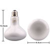 Picture of Aiicioo Reptile Basking Light Bulb - 150W Reptile Heat Lamp 2 Pack UVA Daylight Amphibians Basking Bulb for Bearded Dragon Turtle Hermit Crab Gecko Lizard Chicken