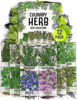 Picture of Seed Needs Herb Seeds Variety Pack Culinary Herb Collection (12 Individual Packets for Planting Indoors or Outdoors) Grow Your Own Organic Herb Garden - Heirloom, Non-GMO