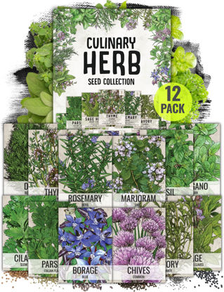 Picture of Seed Needs Herb Seeds Variety Pack Culinary Herb Collection (12 Individual Packets for Planting Indoors or Outdoors) Grow Your Own Organic Herb Garden - Heirloom, Non-GMO