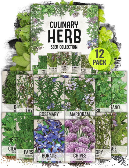Picture of Seed Needs Herb Seeds Variety Pack Culinary Herb Collection (12 Individual Packets for Planting Indoors or Outdoors) Grow Your Own Organic Herb Garden - Heirloom, Non-GMO
