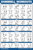 Picture of Palace Learning Dumbbell Workout Exercise Poster - Free Weight Body Building Guide | Home Gym Chart - LAMINATED, 18" x 24"