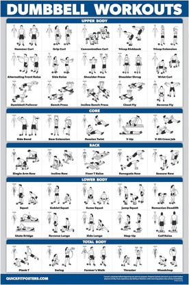 Picture of Palace Learning Dumbbell Workout Exercise Poster - Free Weight Body Building Guide | Home Gym Chart - LAMINATED, 18" x 24"