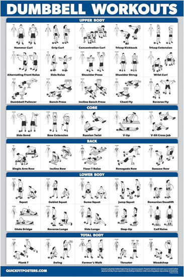 Picture of Palace Learning Dumbbell Workout Exercise Poster - Free Weight Body Building Guide | Home Gym Chart - LAMINATED, 18" x 24"