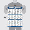Picture of Palace Learning Dumbbell Workout Exercise Poster - Free Weight Body Building Guide | Home Gym Chart - LAMINATED, 18" x 24"