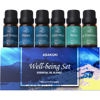 Picture of ASAKUKI Essential Oil Blends, Essential Oils Set for Diffusers for Home, Well-Being Kit- Calming, Dreams, Breathe, Relaxing, Mood, Fresh Air for Aromatherapy, Humidifiers, Massage, 6x10ml