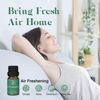 Picture of ASAKUKI Essential Oil Blends, Essential Oils Set for Diffusers for Home, Well-Being Kit- Calming, Dreams, Breathe, Relaxing, Mood, Fresh Air for Aromatherapy, Humidifiers, Massage, 6x10ml