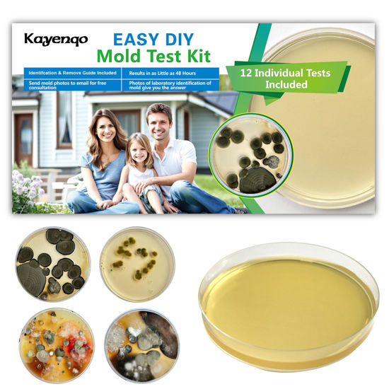 Picture of Mold Test Kit for Home - 12 Simple Detection Tests,Test HVAC System,Home Surfaces,& Indoor Air Quality Testing Kits,DIY Mold Detector at Home,includes Detailed Mold Identification Guide,air tester