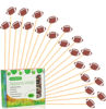 Picture of Crafterlife 100pcs Football Cocktail Picks Decorative Toothpicks Fruit Sandwich Skewers Dessert Sticks for Rugby Ball Super Bowl League Sports Catered Events Decorations Party Supplies