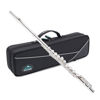 Picture of EASTROCK C Flute Instrument, 16 Keys Closed Hole Flute for Beginner, Kids, Student Flute with Carrying Case Stand, Cleaning kit, Gloves, Tuning Rod, Nickel