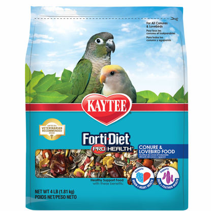 Picture of Kaytee Forti-Diet Pro Health Pet Conure & Lovebird Food, 4 lb